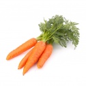 Marchew - Warzywa  liofilizowane