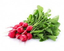 Rzodkiewka - Warzywa  liofilizowane